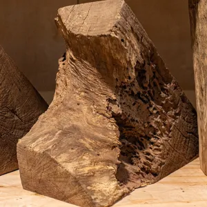 Oregon Black Walnut Block C005