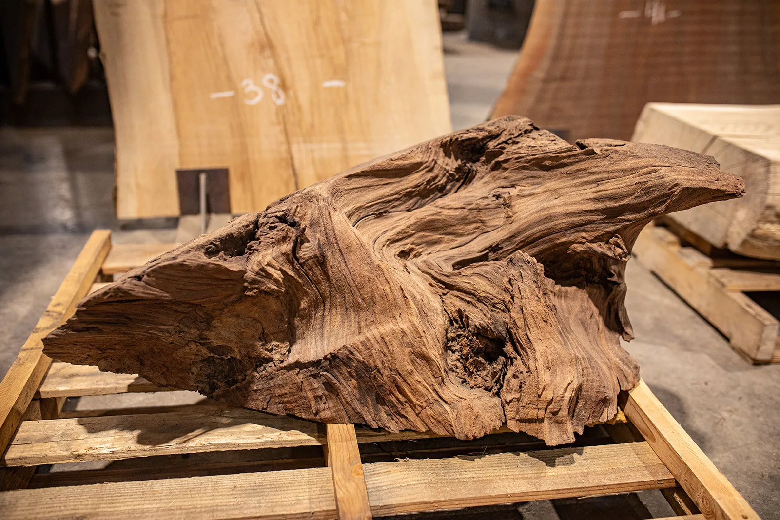 Oregon Black Walnut Block C007