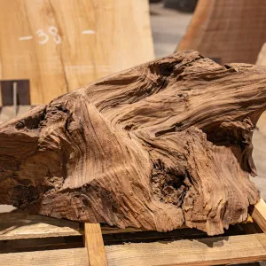 Oregon Black Walnut Block C007
