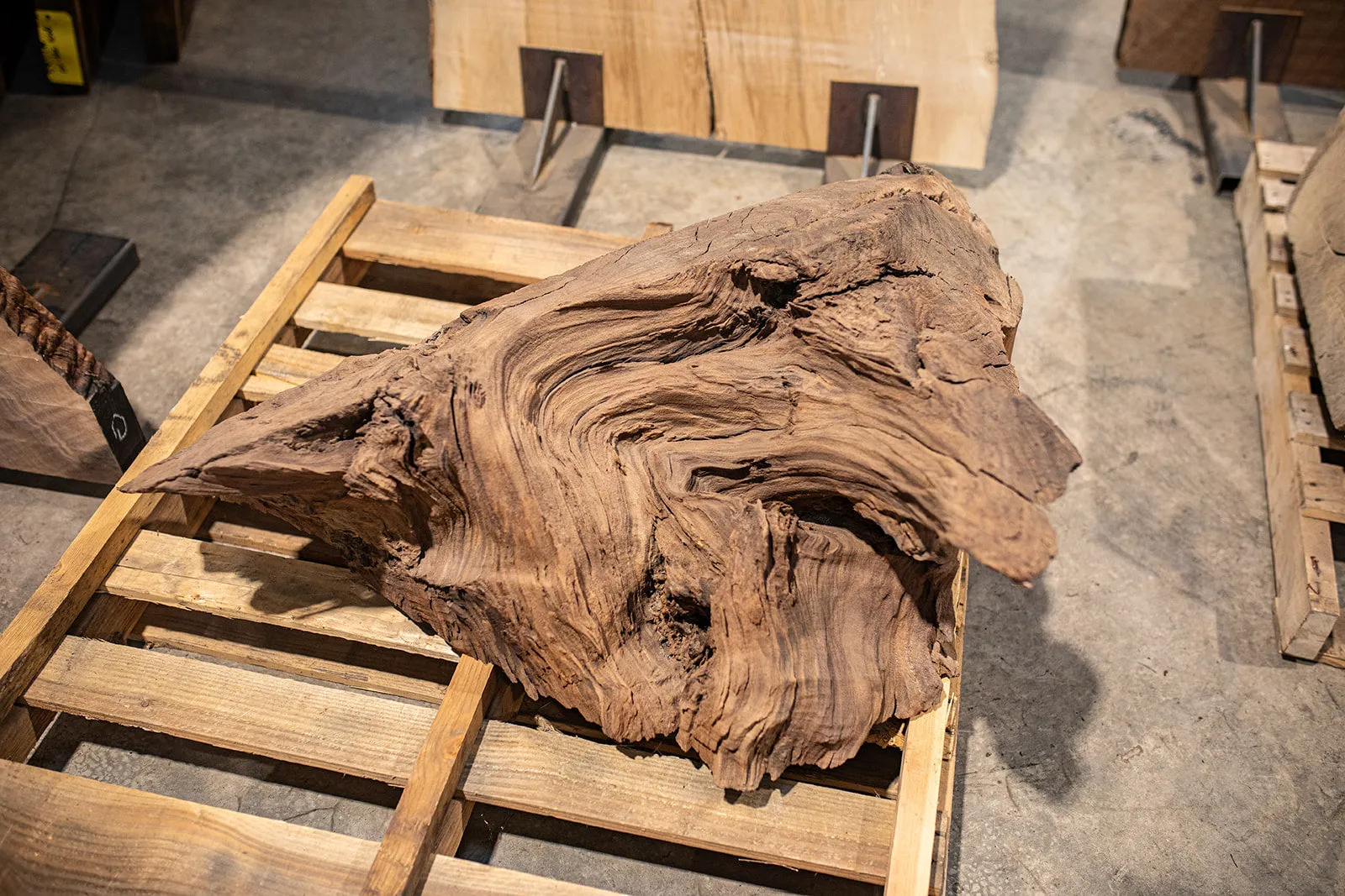 Oregon Black Walnut Block C007