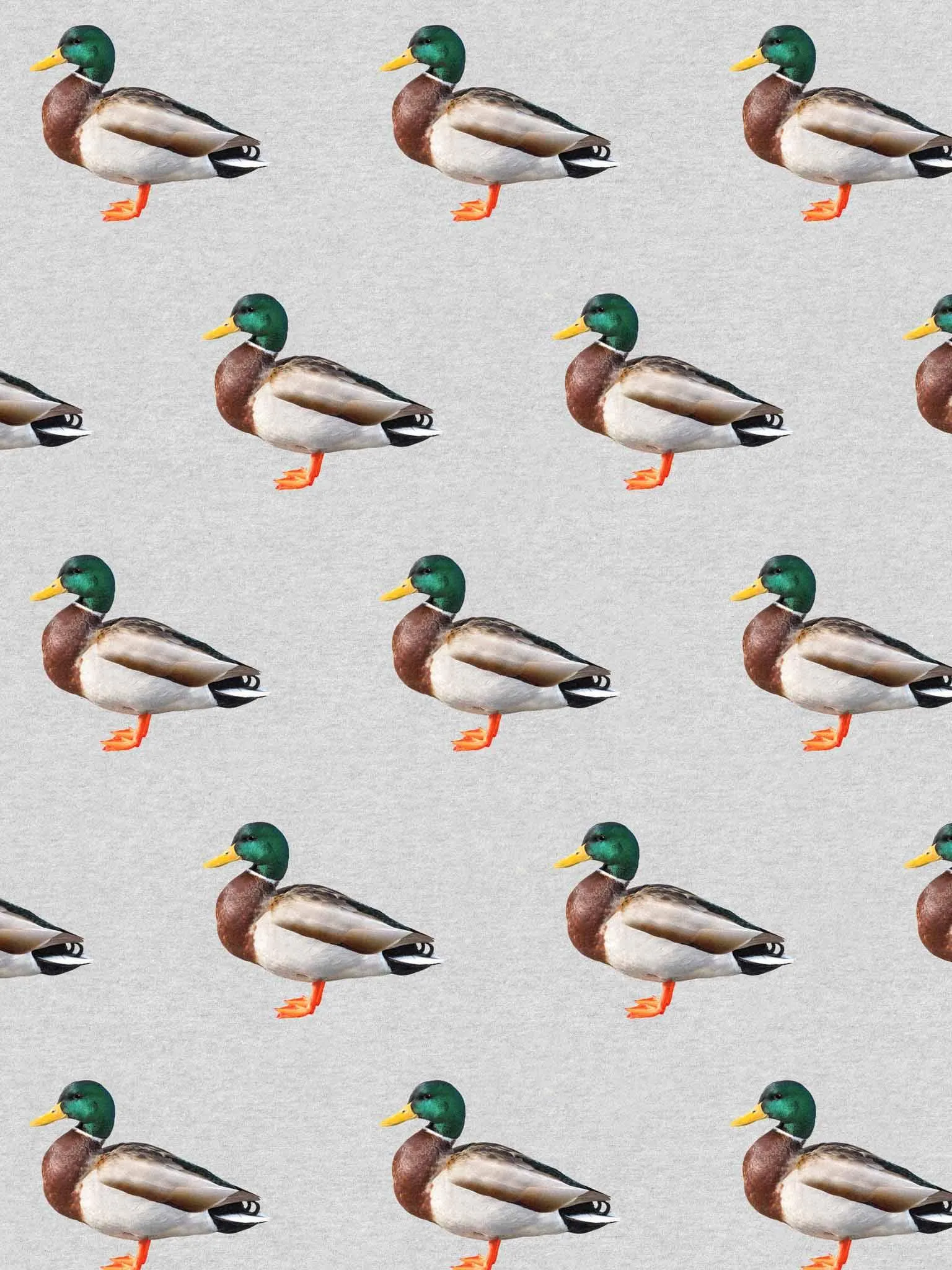 Quack! Broek Unisex