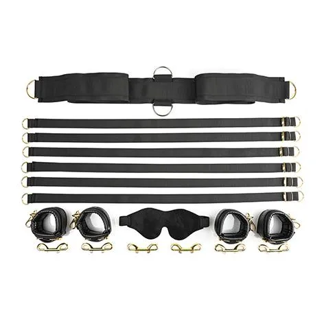 Special Edition Under The Bed Restraint System