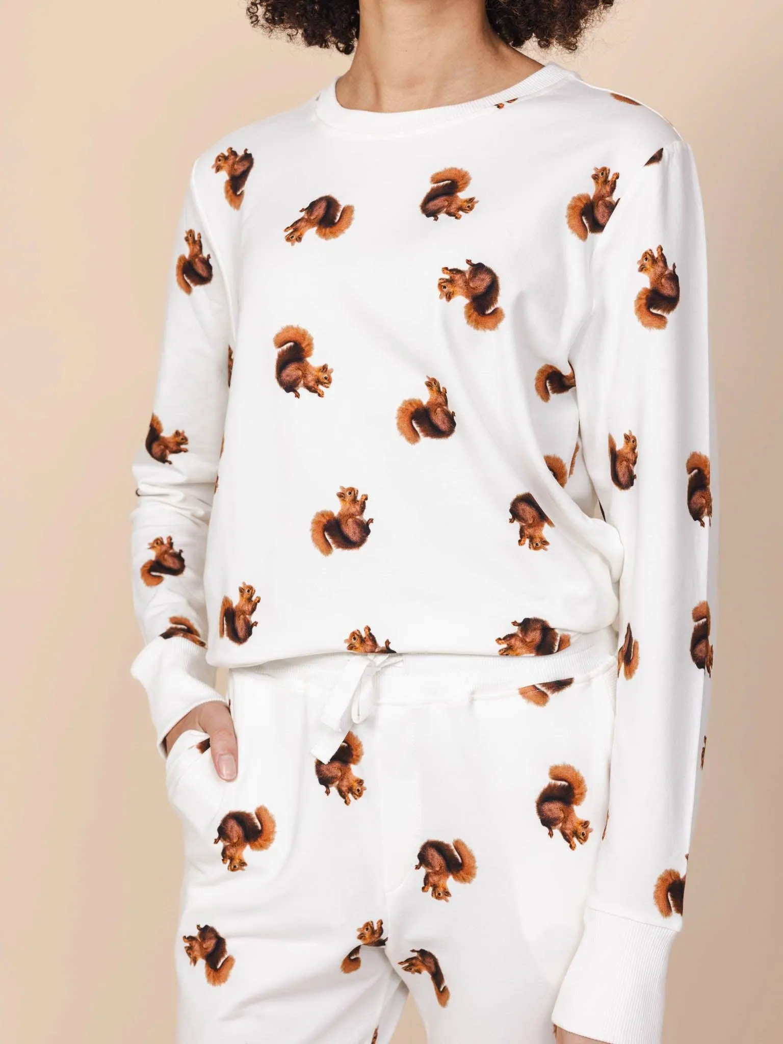 Squirrels Sweater Dames
