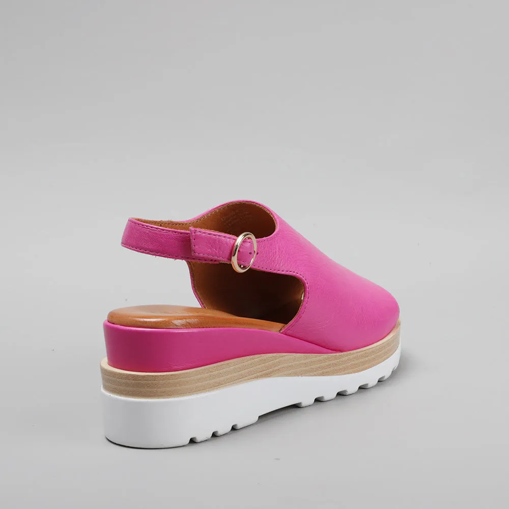 Thunder - Hot Pink