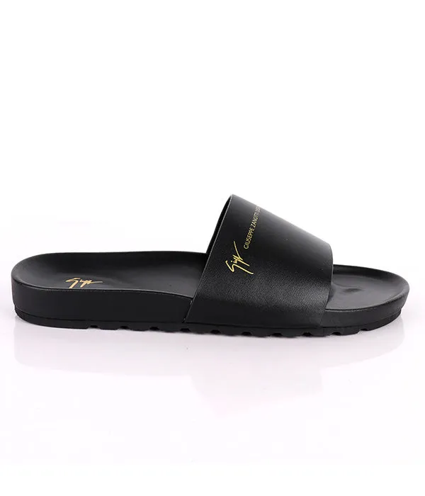 Zanotti Cover Slides